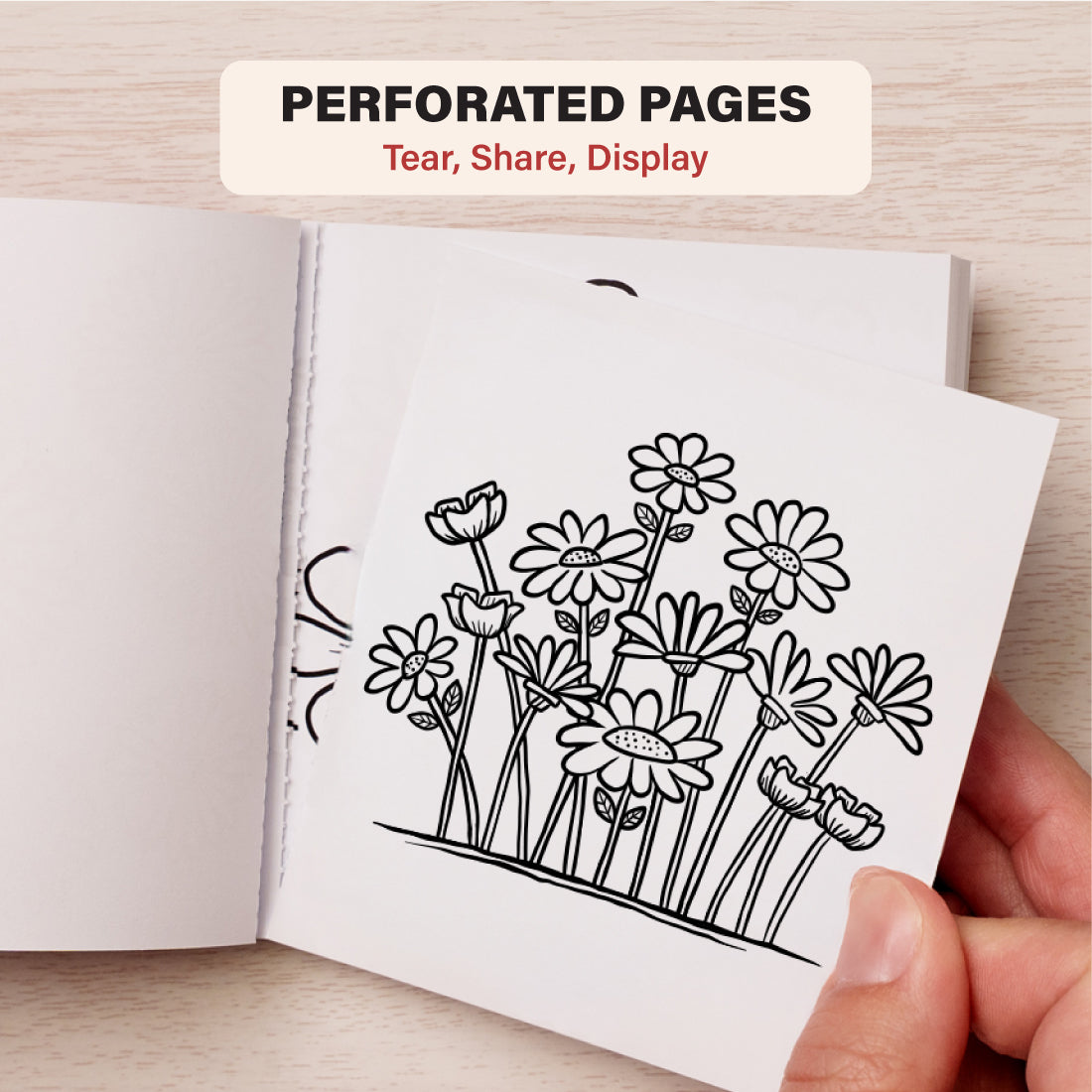 My Little Wildflowers Coloring Book (Volume 1)